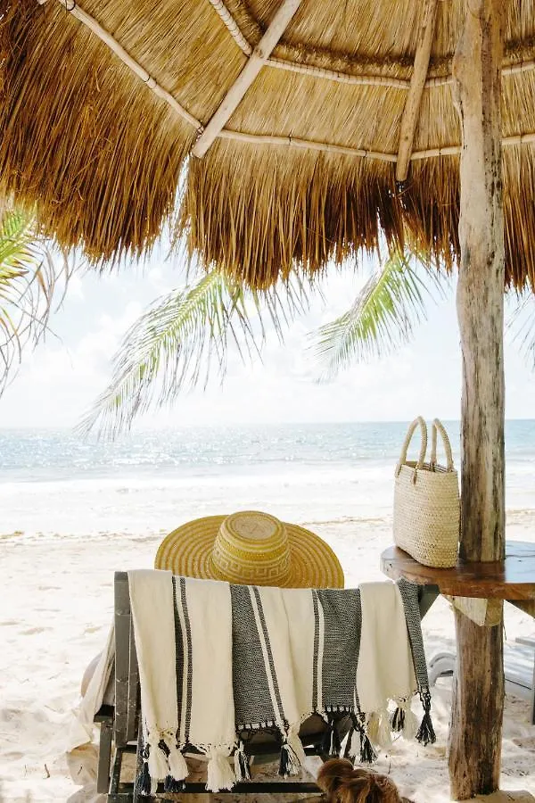 Olas Tulum Bed and breakfast