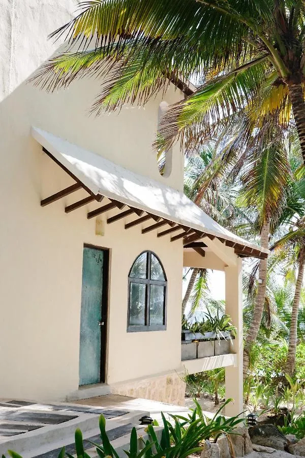 Olas Tulum