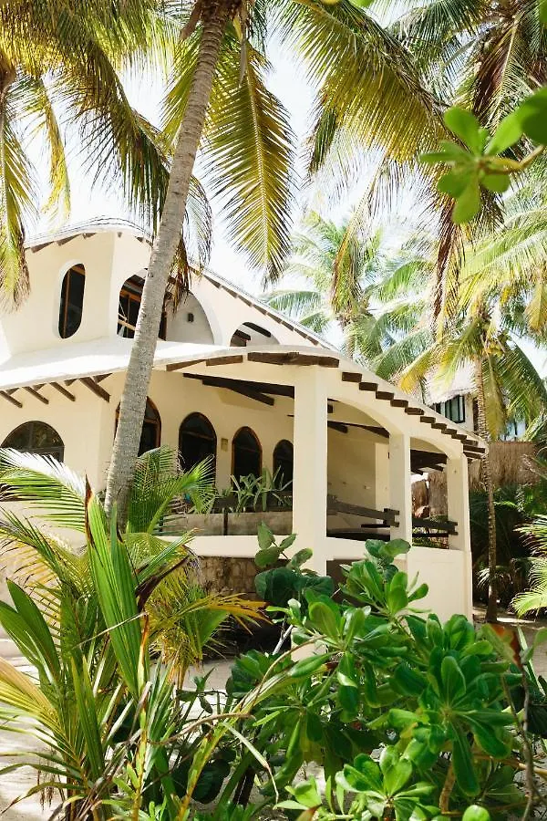 Olas Tulum