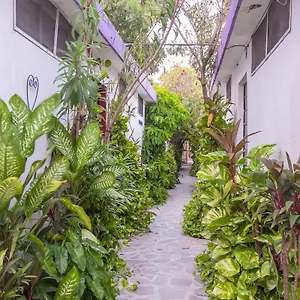 Aventura Hotel Mérida