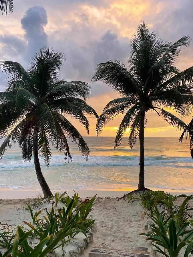 Olas Tulum 0*,